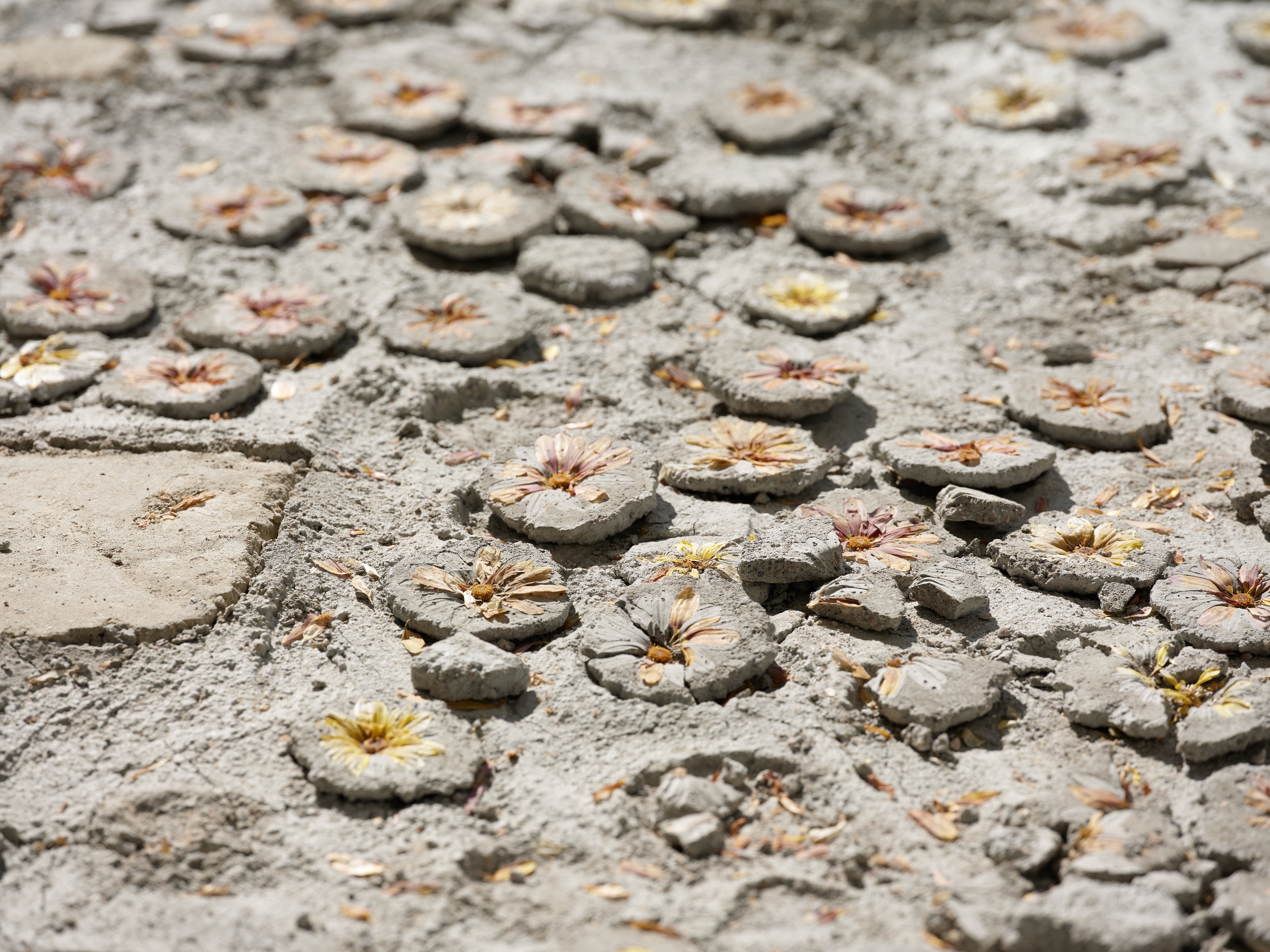 GEÇ KALMADINIZ “Alt/Üst” DEVAM EDİYOR